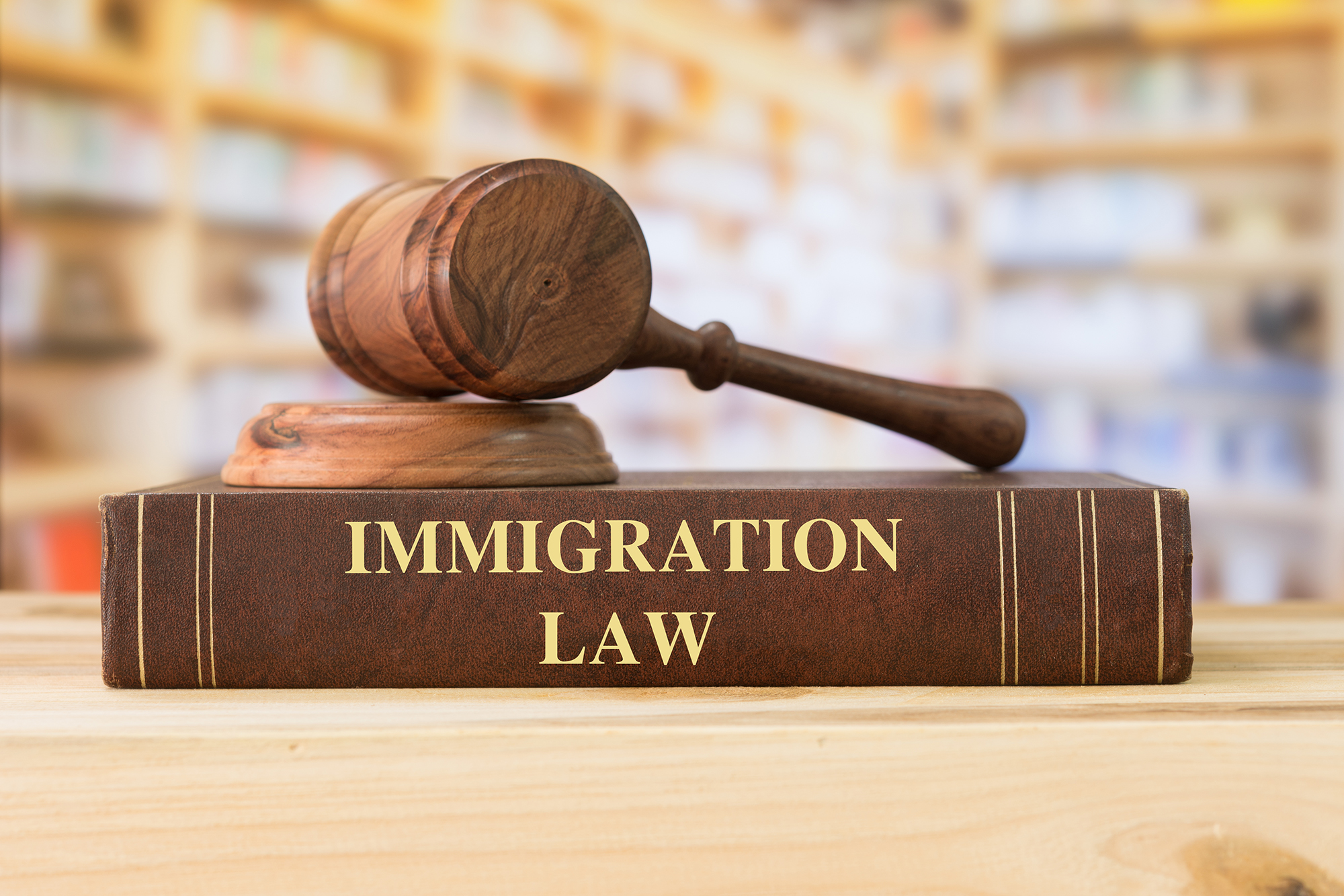 Immigration & Investment Law Firms in Kenya